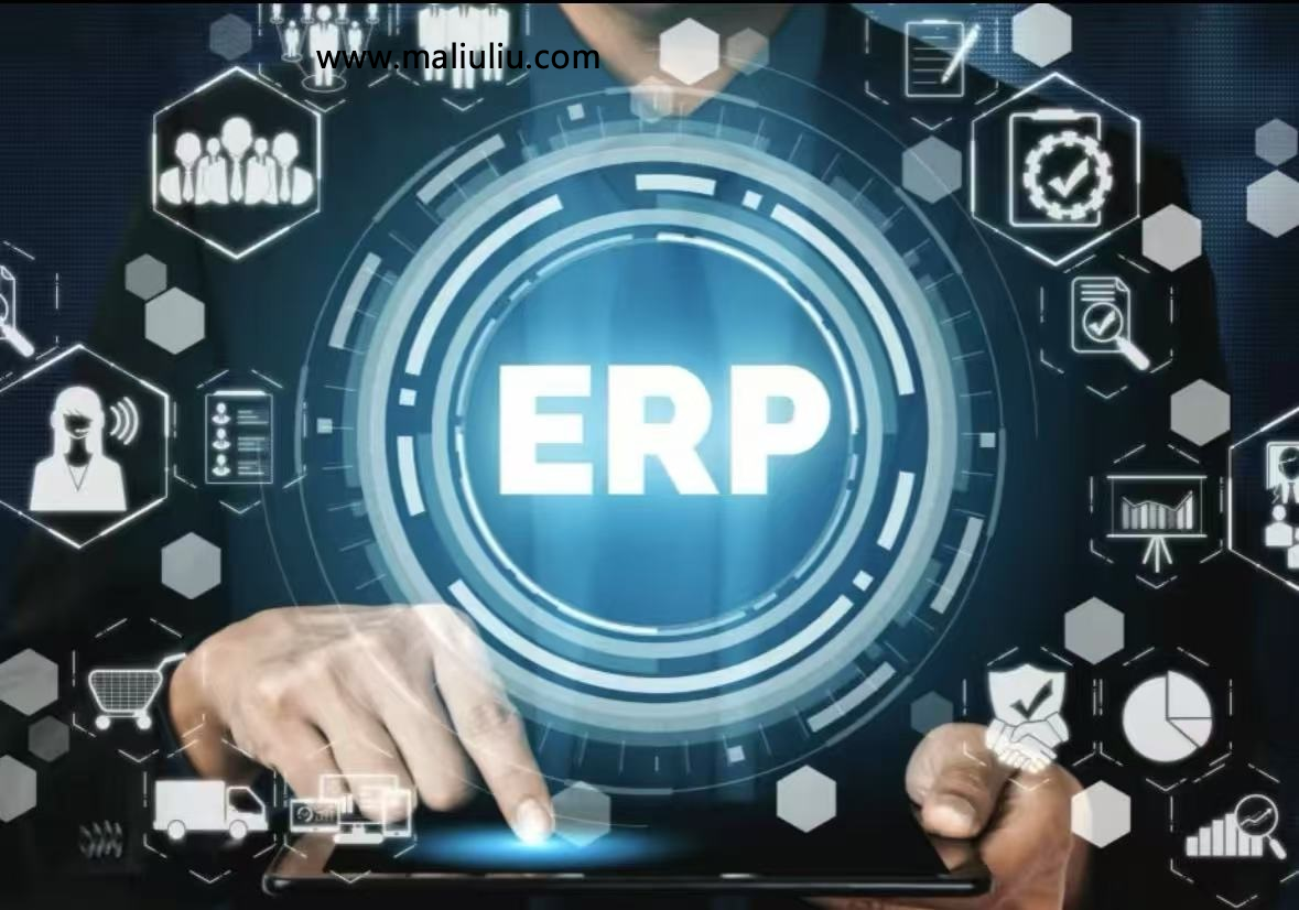 1738977502362141.jpg erp.jpg