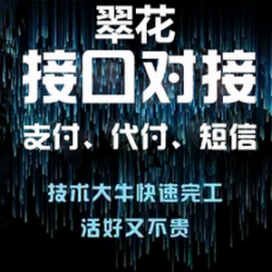 提供源码搭建，二开服务，API对接，支付接口对接，代付接口对接，短信接口对接，建设各种网站，软件定制开发,网站修改