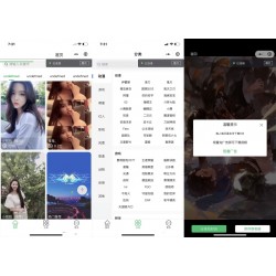 新动态视频壁纸微信小程序源码支持多种分类短视频支持静态壁纸/微信小程序流量主系统
