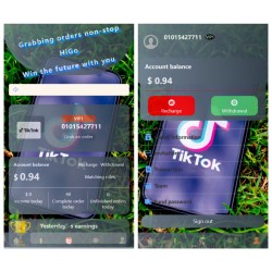 新版本海外tiktok多语言抢单系统源码/带文本搭建教程