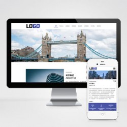 (自适应手机端)骨架油封网站模板 机械密封件网站源码